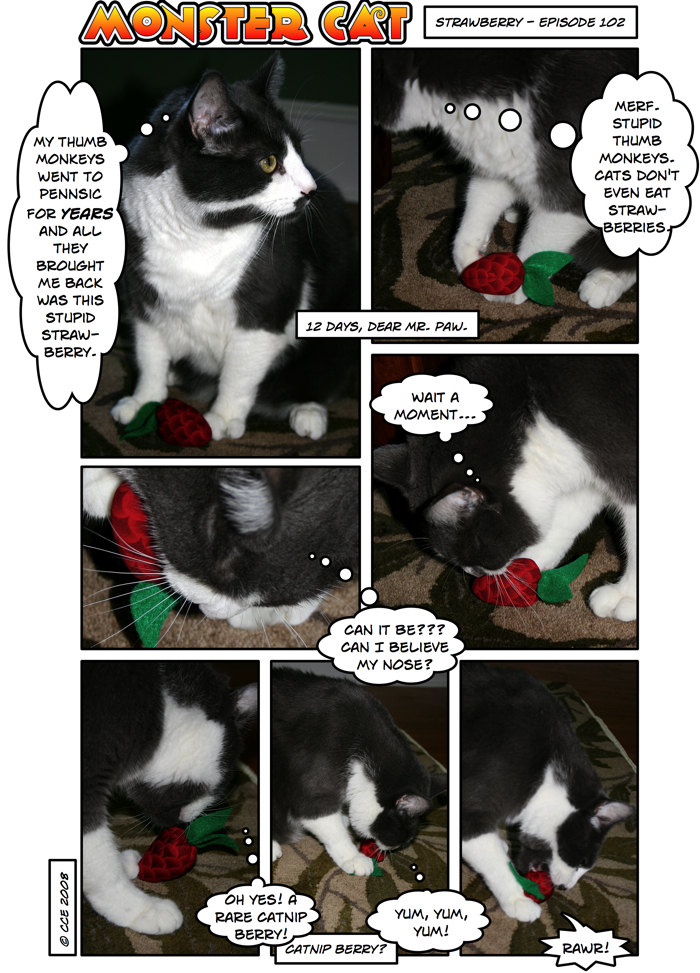 Again I'll ask: Catnip Berry??? Again I'll ask: Catnip Berry???