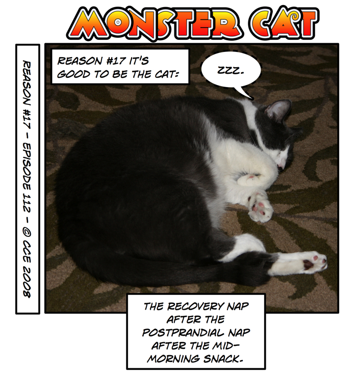 Coincidentally, that's his 17th nap of the day.