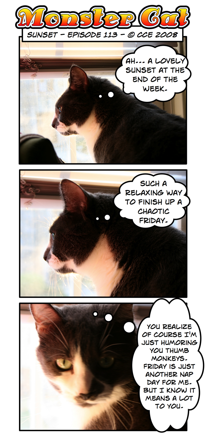It's good to be the cat.
