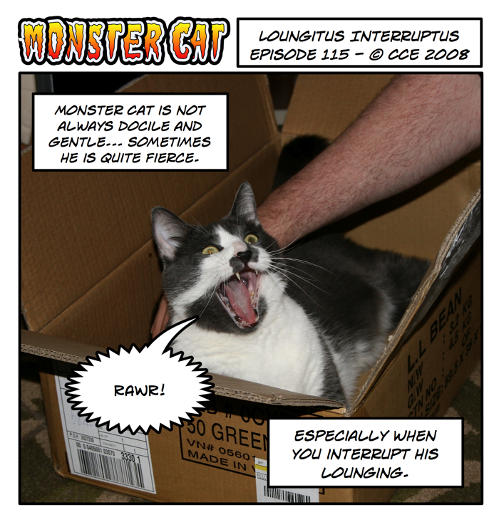 Apparently we should let lounging cats lie. Apparently we should let lounging cats lie.