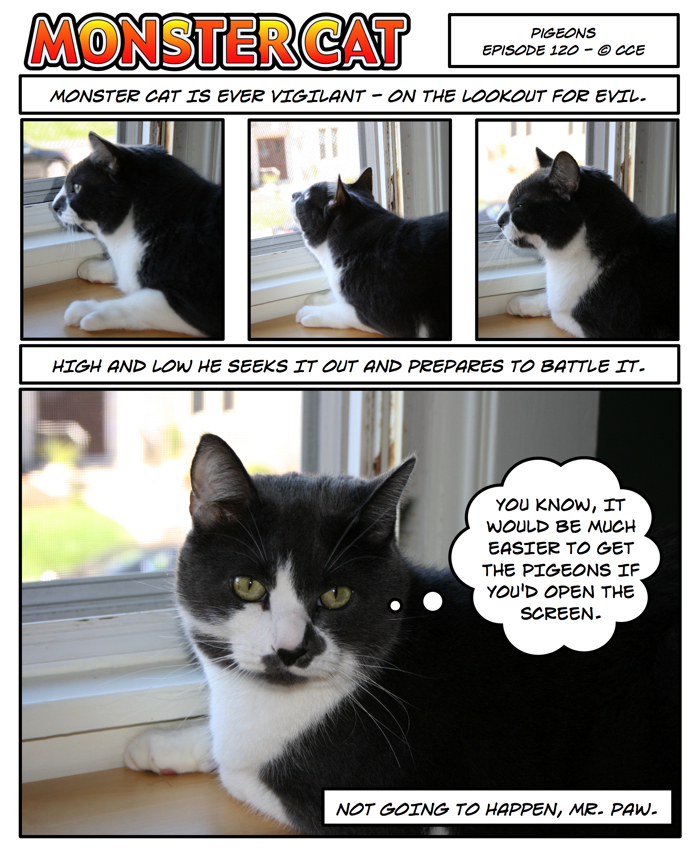 I wonder if he'd have any idea what to do with the pigeon once he got one...