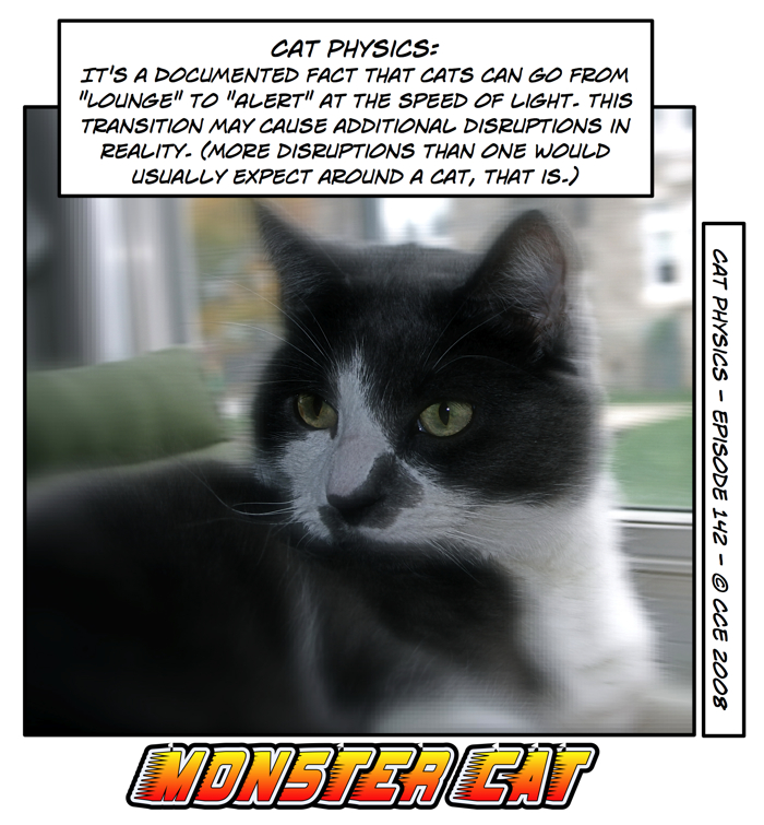 Experts in the field of cat physics are in high demand, don't ya know...