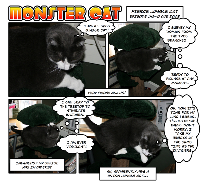 He's very fierce. Very intimidating. Very protective... when he's on duty. Do you have any idea how many breaks and holidays feline unions write into their contracts?