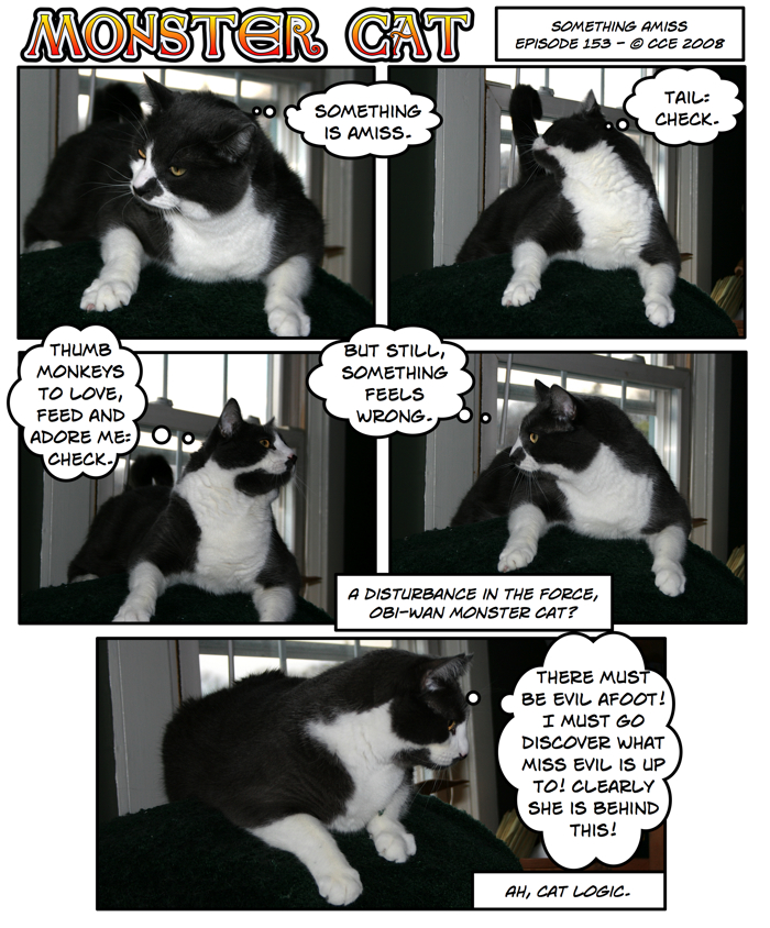 Sometimes I think cat logic is all too prevalent in this world... Sometimes I think cat logic is all too prevalent in this world...