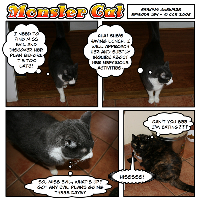 My cat... so subtle. My cat... so subtle.