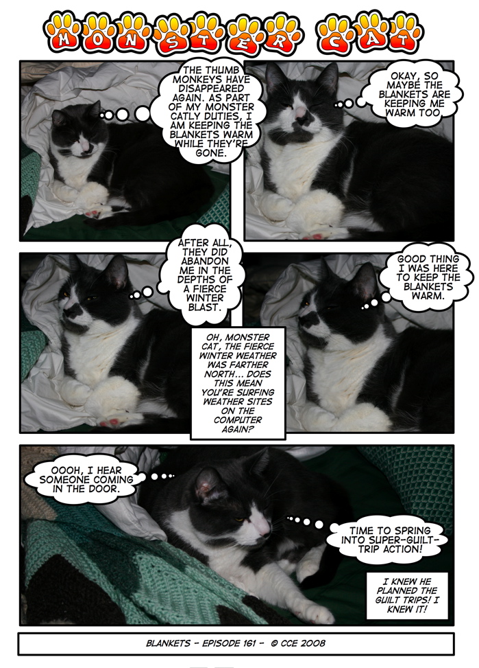 He really does believe he's performing an important service. Of course, he won't move from his warm blankets when someone wants to go to bed, but that's just a small detail.