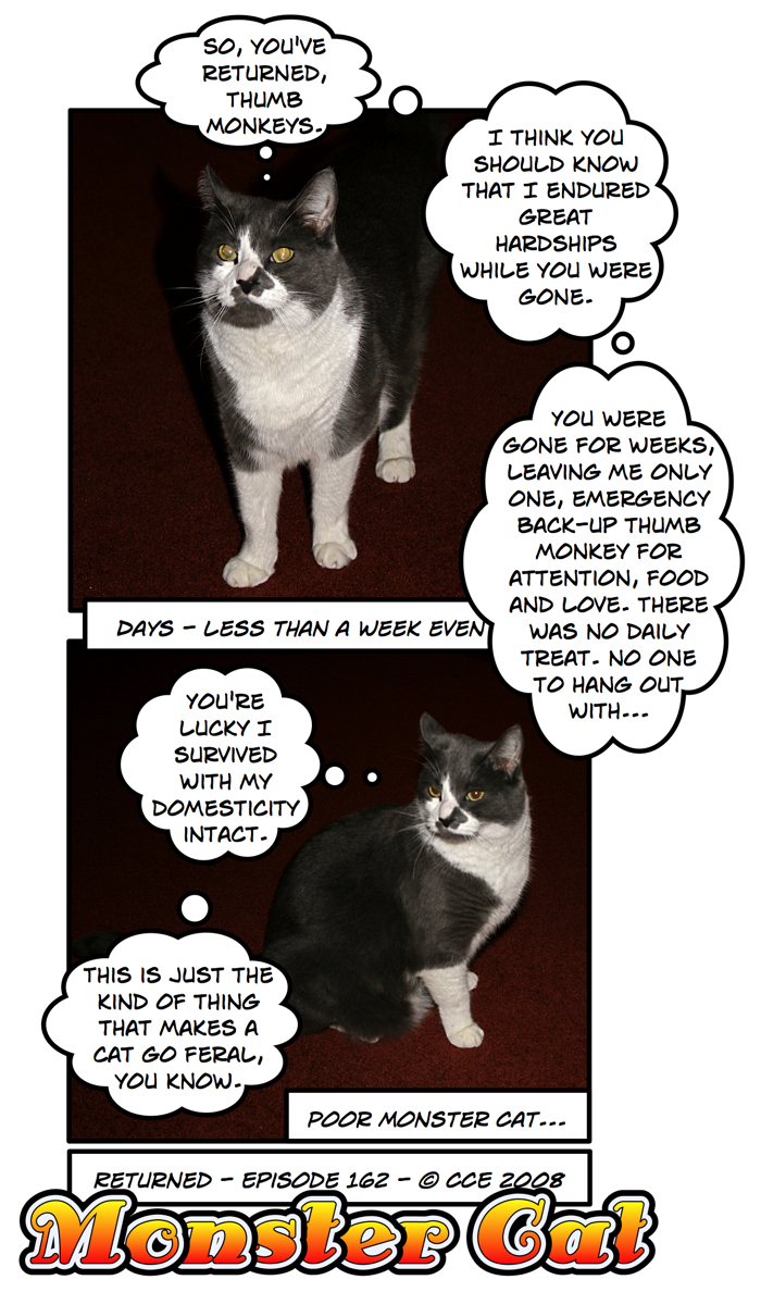 A feral Monster Cat makes me giggle.