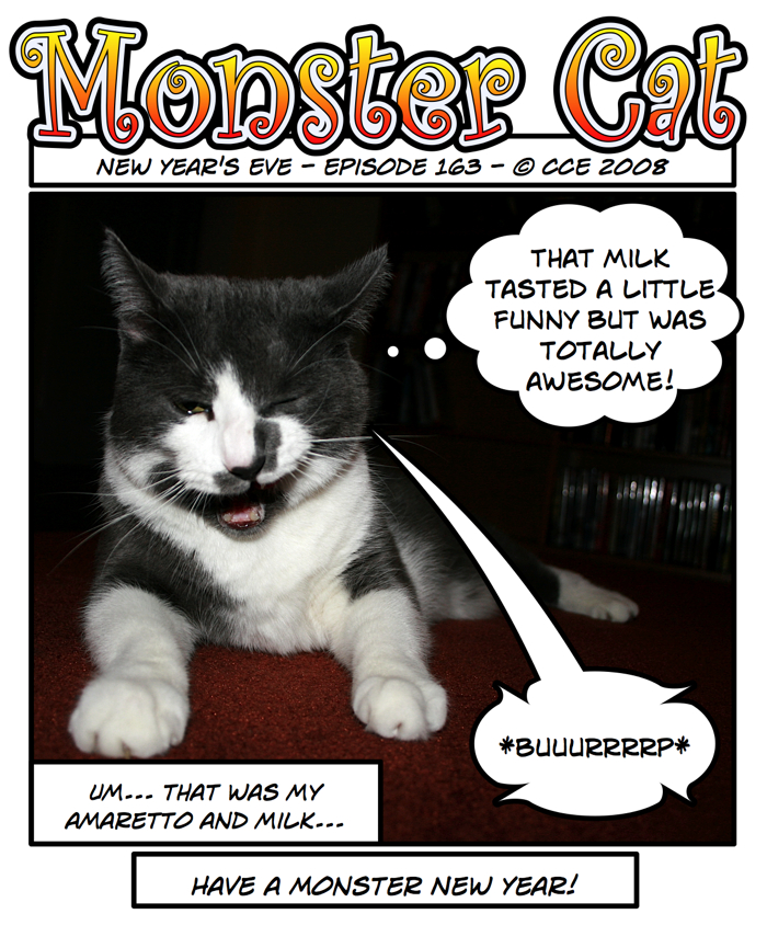 17 pounds of inebriated gray cat... save us!