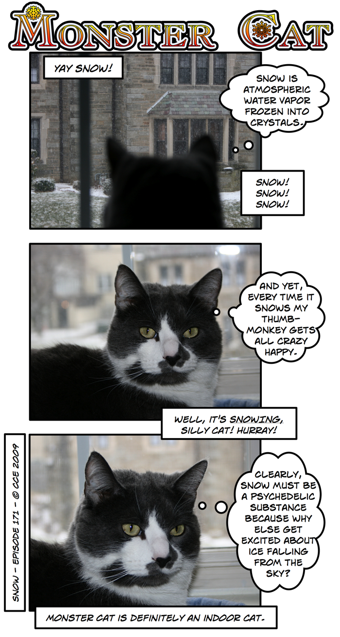 Of course, today's strip makes me want to take him out in the snow just to see how he'll react...