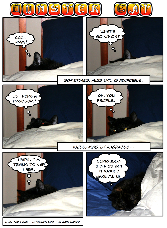 Hey, the old saying doesn't mention anything about letting sleeping cats lie! Hey, the old saying doesn't mention anything about letting sleeping cats lie!