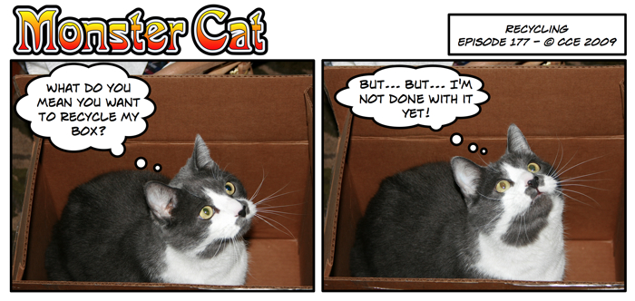 It's much harder to recycle a box with a 17 pound cat in it.