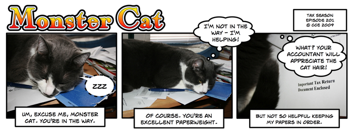 Someday, I'll teach a cat to do my taxes for me... 