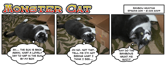 Yes, Mr. Paw. The rainbows are haunting you. They have nothing to do with the sun hitting the crystal hung in the window.