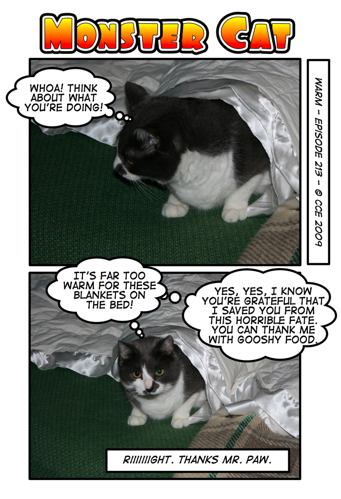 Of course, I was just trying to fold the blankets to put them aside. Clearly I needed saving from a fate worse than death: neatly folded, cat-fur free blankets.