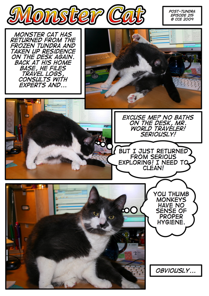 Why do cats always choose the most 'convenient' places to clean their butts? Why do cats always choose the most 'convenient' places to clean their butts?