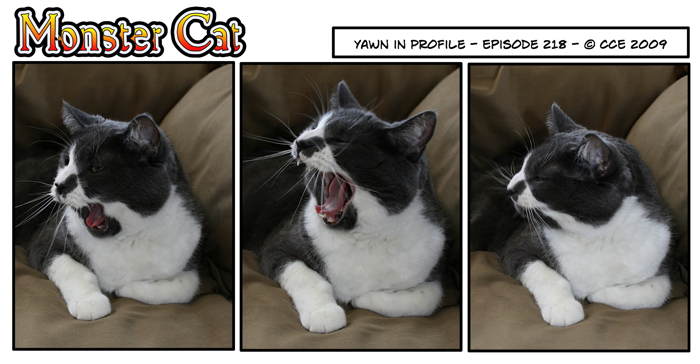 Monster Cat in his natural state.