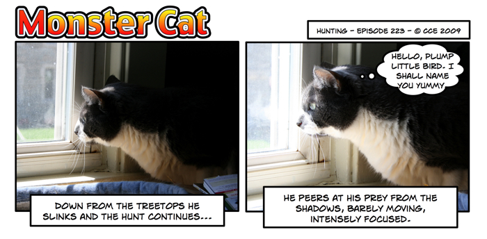 He's very serious about his bird hunting!