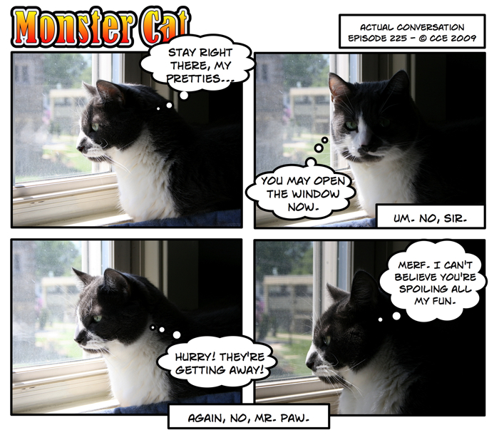 Okay. Maybe it wasn't a voiced conversation... but it was an actual conversation between me and Mr. Paw! Look at those facial expressions! How can you not understand them!?
