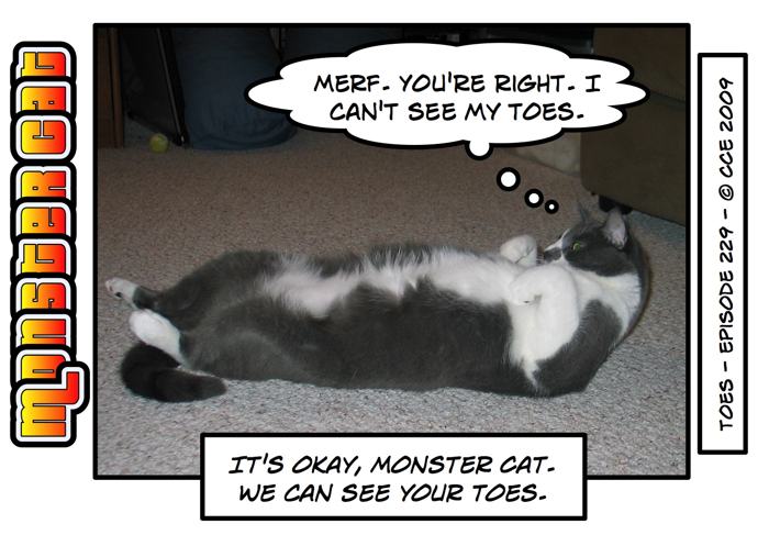 Silly cat.