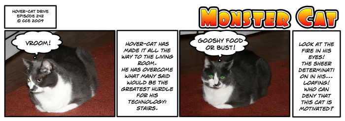 If this experiment is successful... we'll have to start a Hover-Cat Technology company... Biotechs don't have a chance...