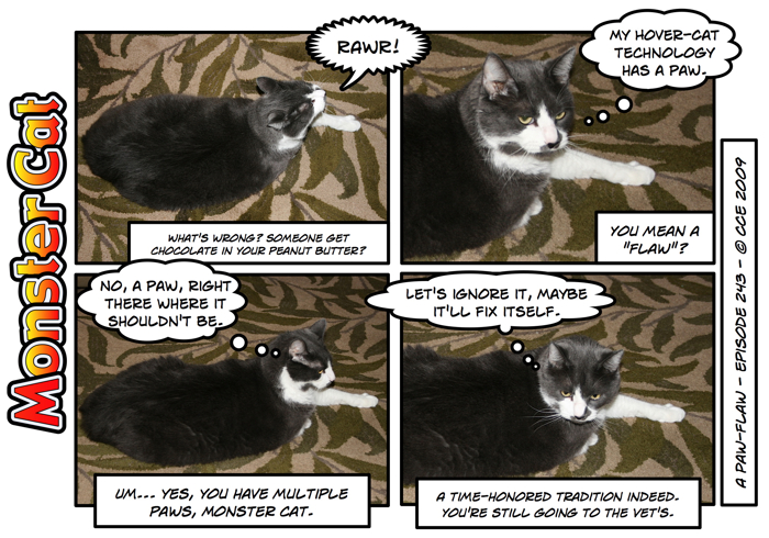 Sometimes the cat goes a little insane... we humor him. It's safer.