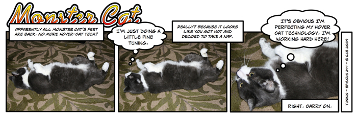 That's some serious under-body you've got there, Monster Cat