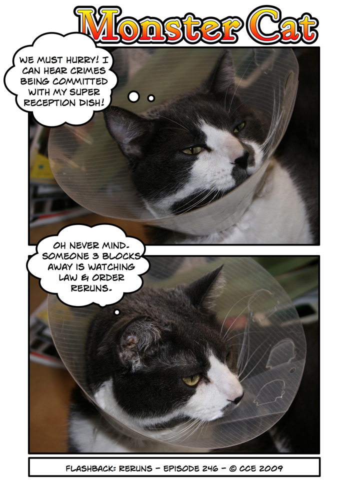 With great power comes great disappointment, Mr. Paw.