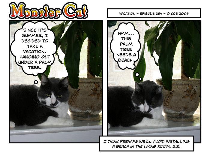 When you're a housecat, I guess make your own vacations! (tell me again why he needs a vacation?)