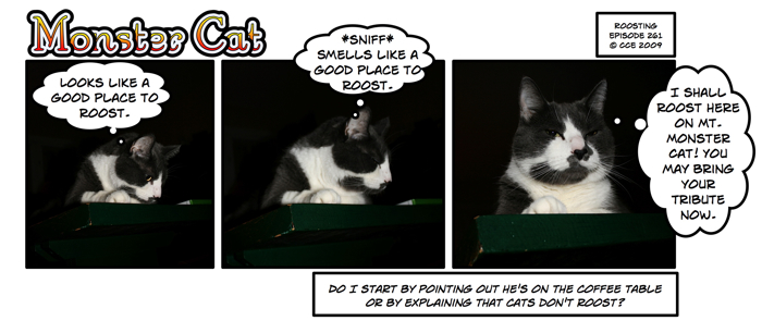 Of course, I also would have to explain to him that he's a *cat*... this could be difficult...