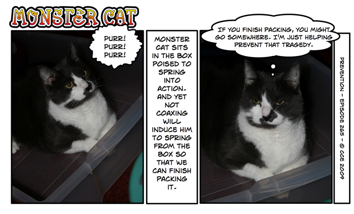 Yes, yes, very helpful. But if you don't get out of the way, I'm packing you away with the rest of this stuff!