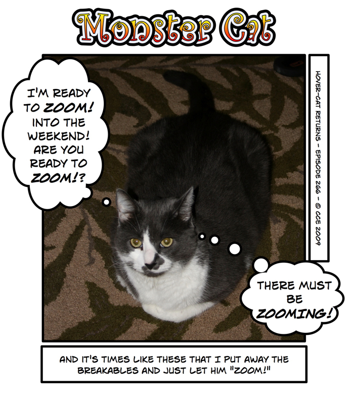 I wonder what the messages from the Cat planet actually say...