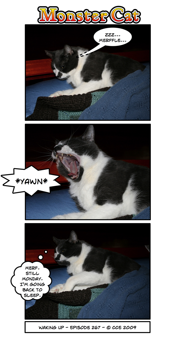 Ah... to be the cat...