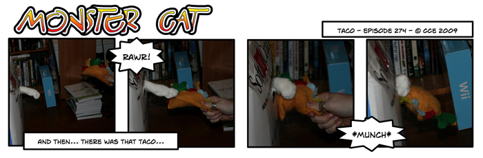 Tacos are delicious and nutritious, taste just like catnip!