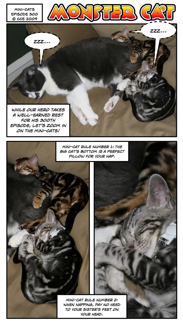Yes, yes, this is the 300th episode and Monster Cat is taking a nap. Seems natural enough, really.
