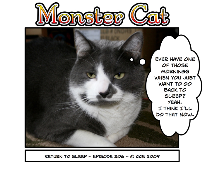 Good luck, Monster Cat. The Mini-Cats are likely to 'help' you with that nap...