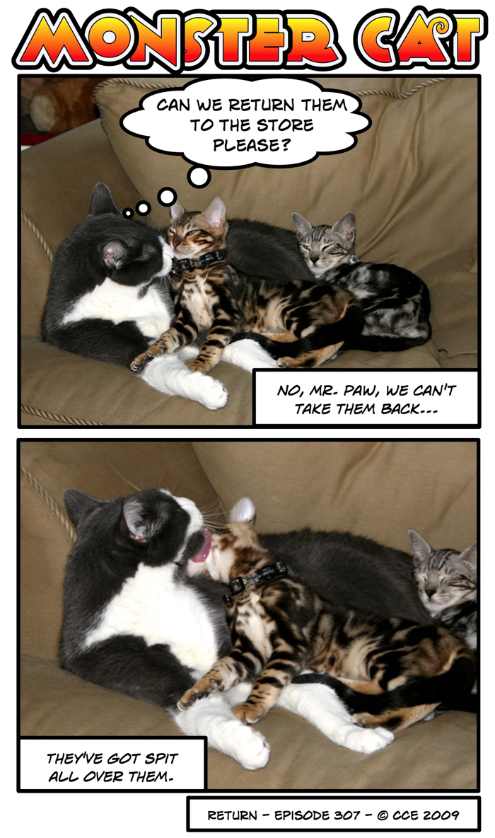 Once again, with apologies to Steve Martin.