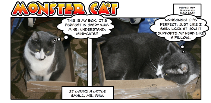 Mr. Paw has an interesting definition of perfect... perhaps we all should adopt such a broad definition!