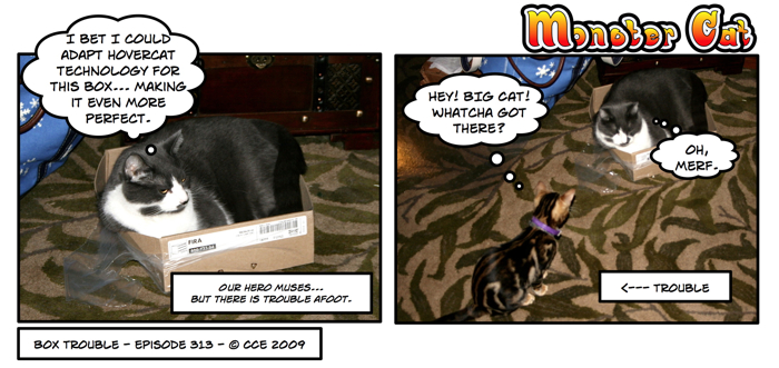 Oh, here we go. Having mini-cats around should make this interesting.