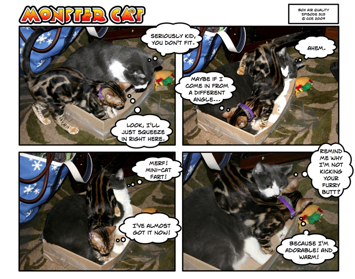 Kitten farts are very potent. Trust me.