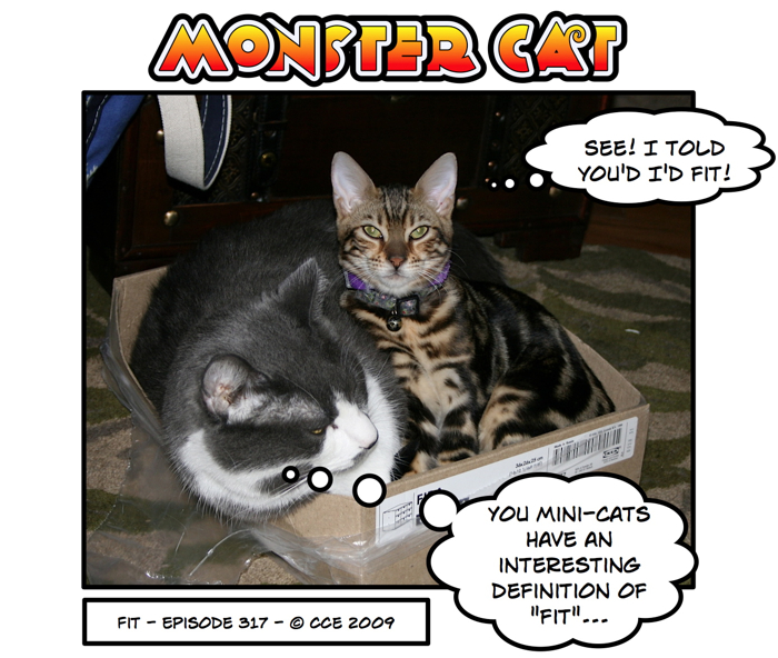 This is very similar to how you fit in boxes, Mr. Gray. I think perhaps these definitions are subject to perspective...