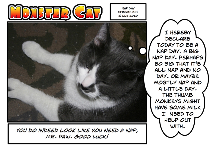 Indeed, he will need that luck. The kittens are running around like they have Tasmanian Devil in their heritage.