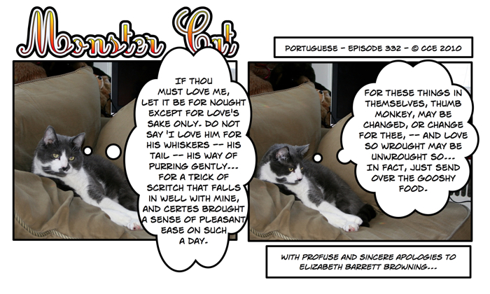 He's really a very literate cat!