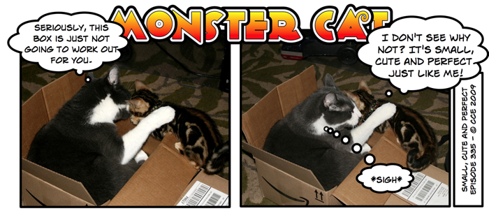 Sharing is apparently not something Monster Cat learned in kittengarten.