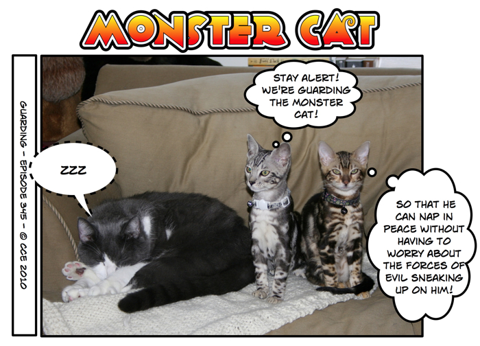 What helpful little mini-cats...