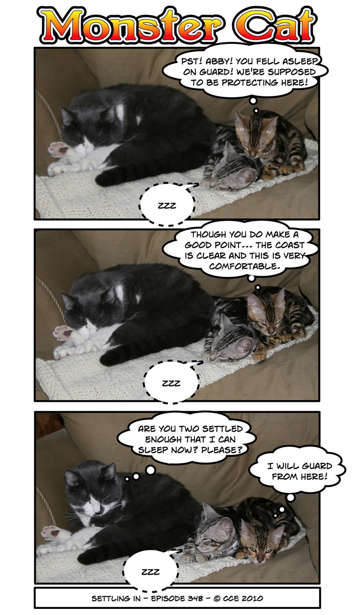 Of course you will guard from there, Tasha... until you fall asleep like your sister...