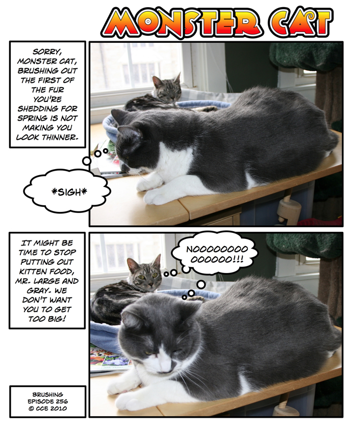 Maybe the next brushing will help, Mr. Paw. There's still some hope! (We've got to keep his hopes up!)