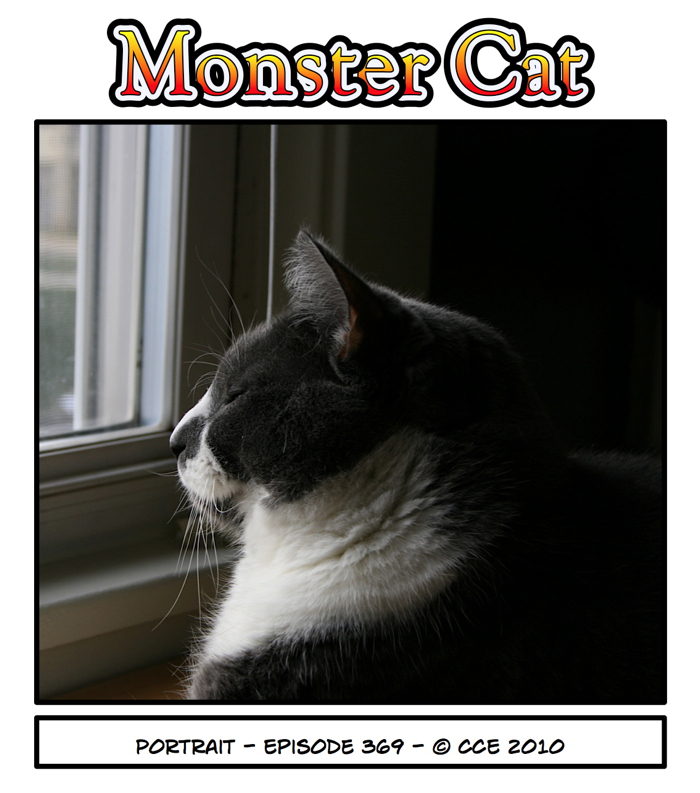 It's good to be the handsome cat.