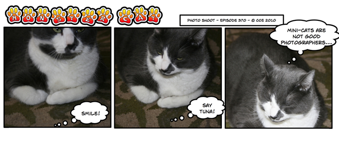 The mini-cats are more likely comparable to paparazzi...