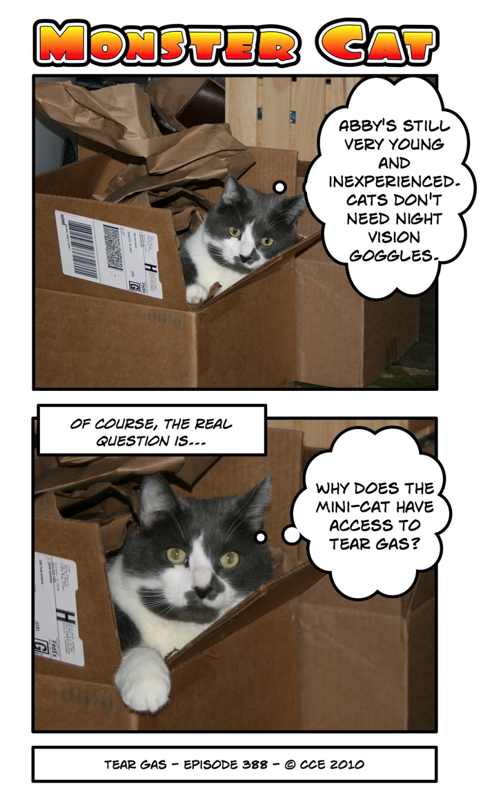 You know, I often joke about the cats having secret stashes of stuff... usually toys and things I'm looking for... it hadn't occurred to me that a cat would build a military arsenal...