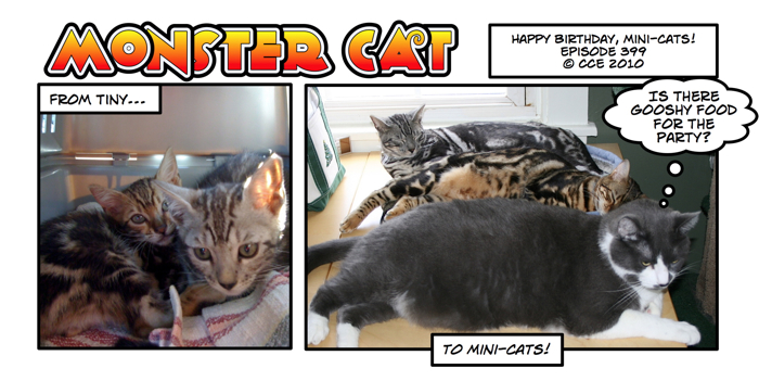 Monster Cat has a birthday too, of course... we just don't know what it is given his humble beginnings in the world.